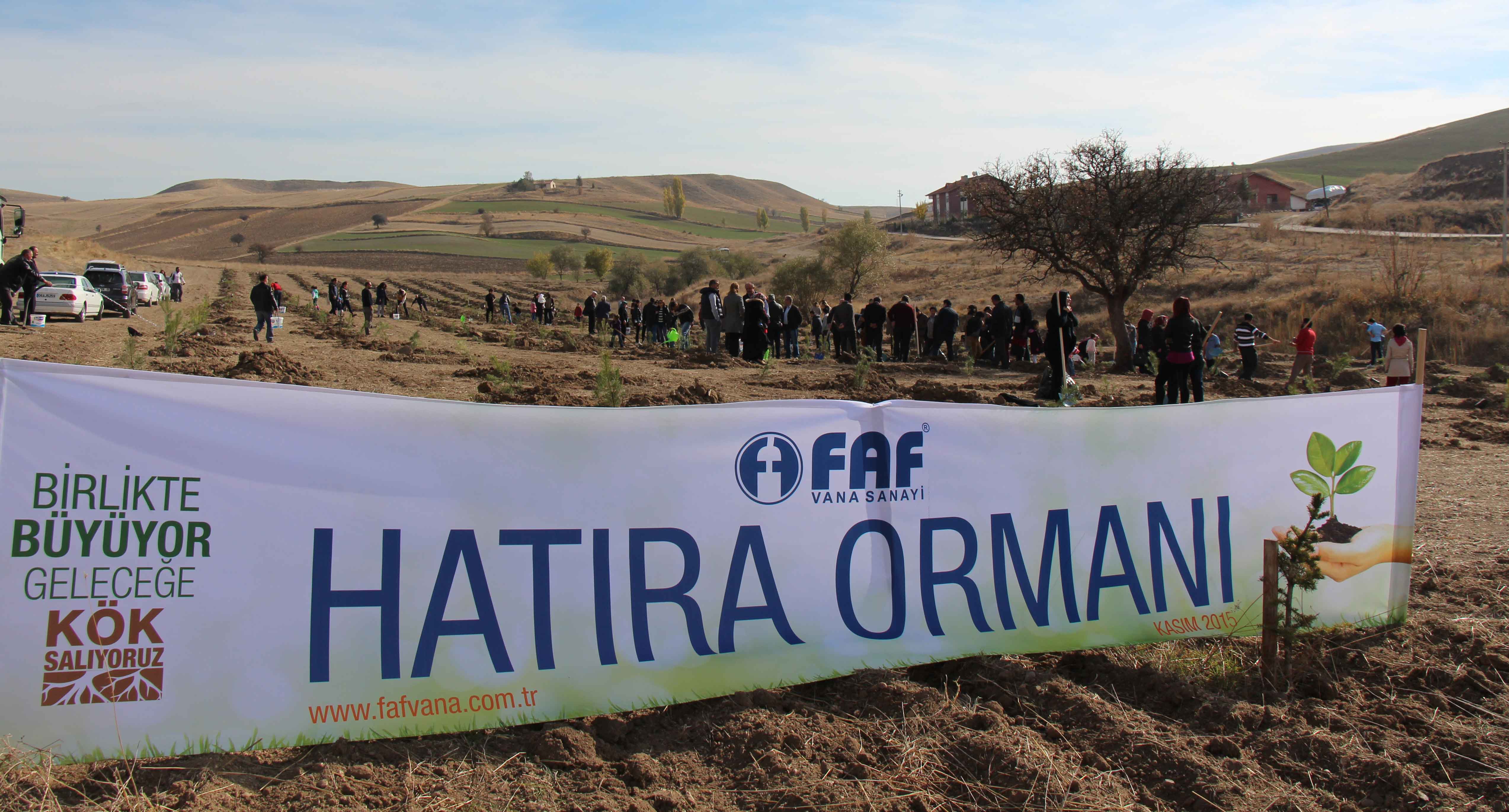 FAF VANA HATIRA ORMANI